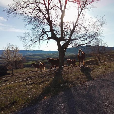 Willa Masia Colomet Aransis Zewnętrze zdjęcie